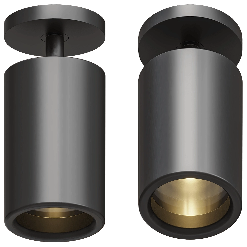 Nemo Lighting – Spot light Flex 3D Model