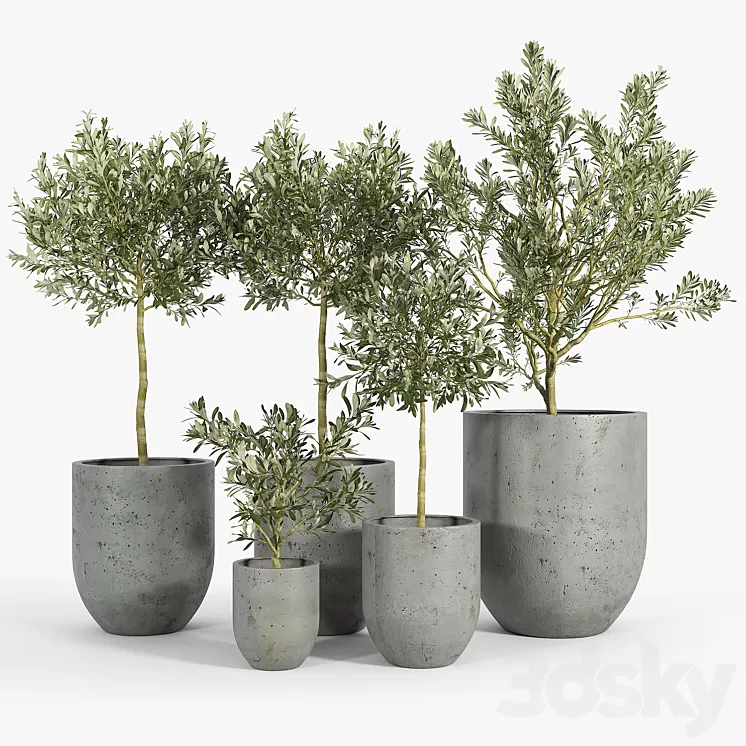 Neo Planter Extra Small Lead 3D Model