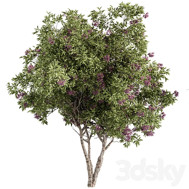 Nerium Oleander -Tree Set 229 3D Model