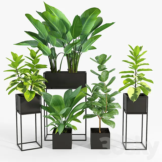NEW Three Black Standing Planters 01 3D Model NEW Three Black Standing Planters 01 3D Model