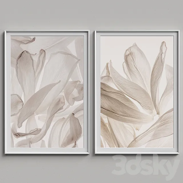 Nice Picture Frames Set 60 3D Model