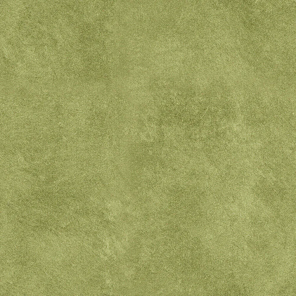 Novacolor – Paint DSO18231 3D Model