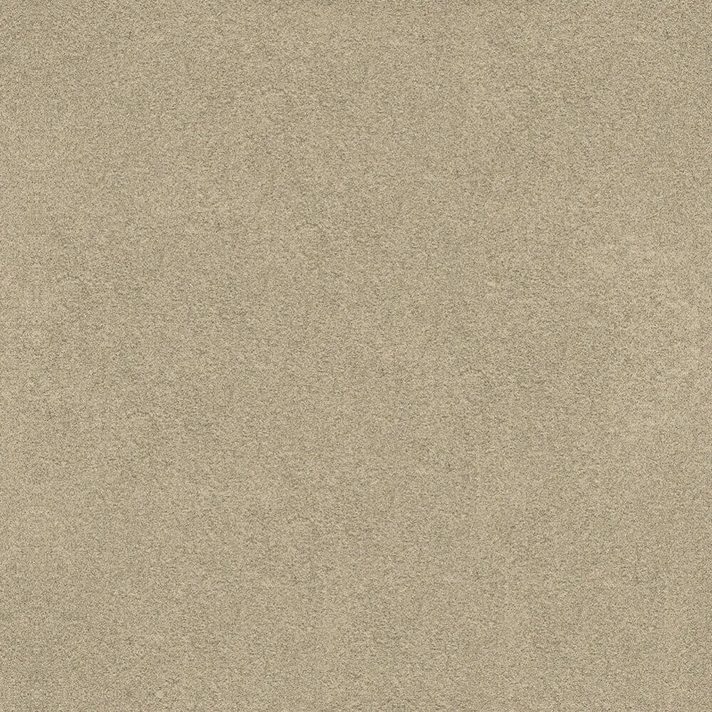 Novacolor – Paint LS18313 3D Model Novacolor – Paint LS18313 3D Model