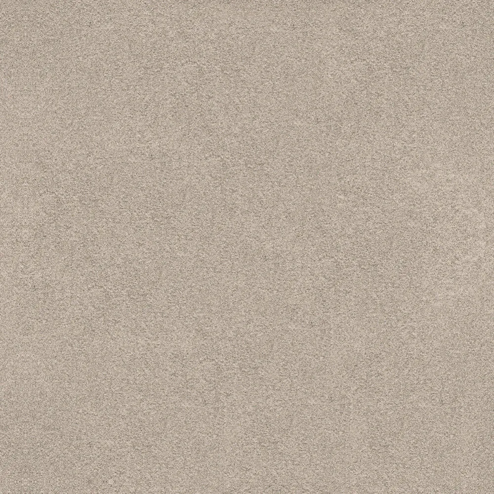 Novacolor – Paint LS18316 3D Model Novacolor – Paint LS18316 3D Model