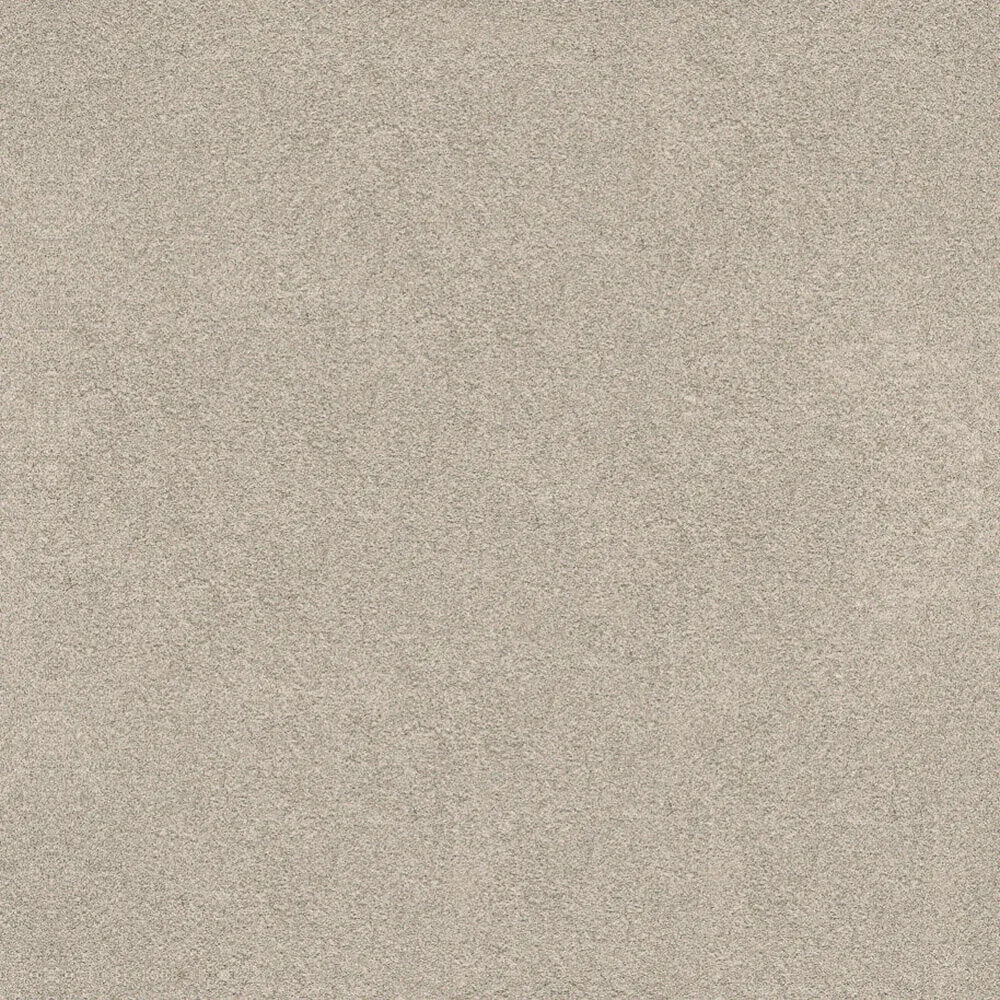 Novacolor – Paint LS18321 3D Model Novacolor – Paint LS18321 3D Model