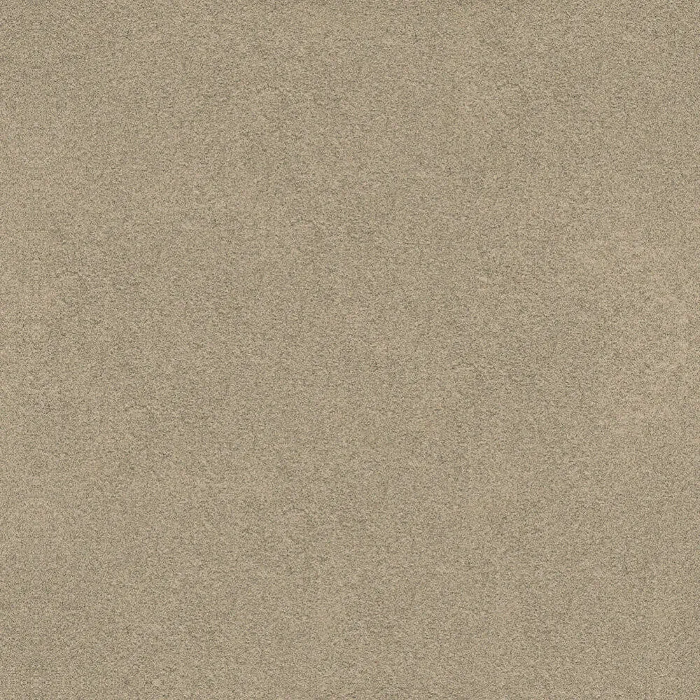 Novacolor – Paint LS18324 3D Model Novacolor – Paint LS18324 3D Model