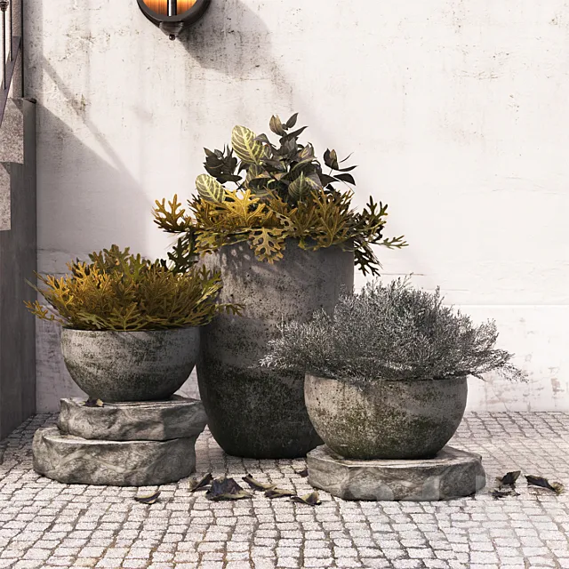 November 3D Model November 3D Model