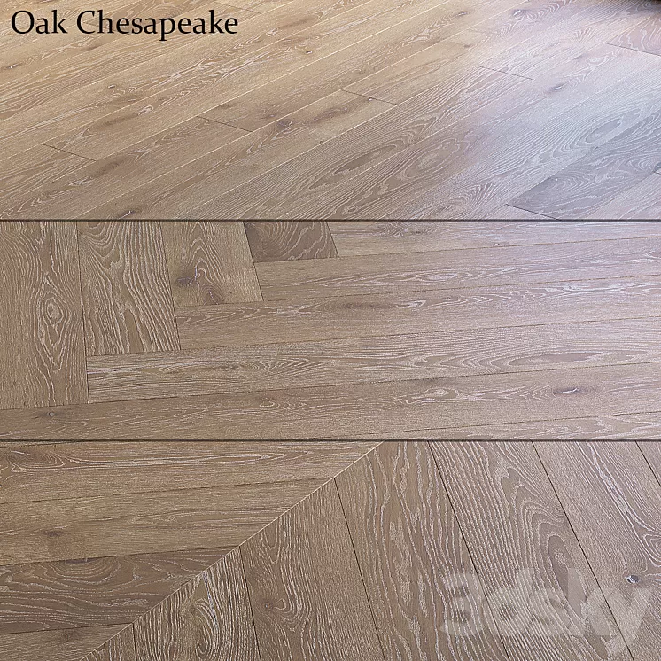 Oak Chesapeake 3D Model Free Download Oak Chesapeake 3D Model Free Download