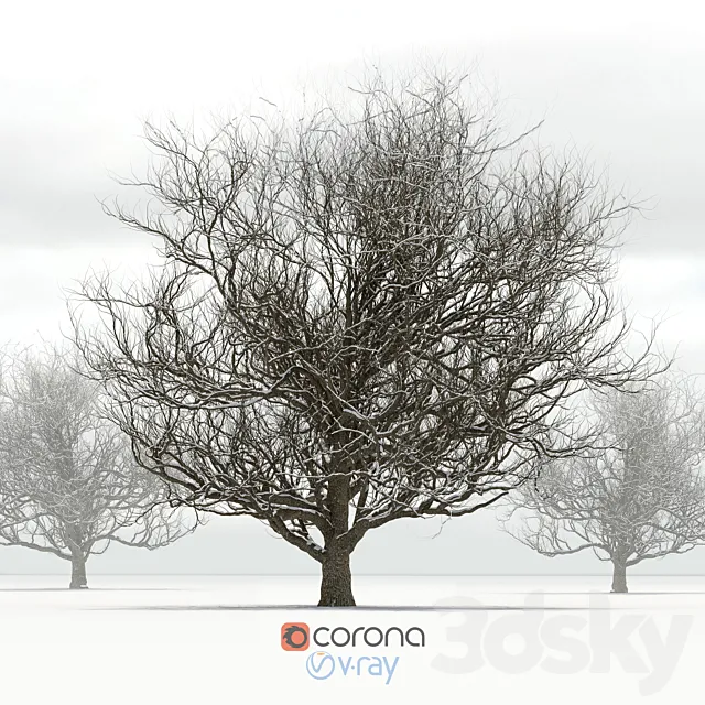 Oak with snow 3DModel Oak with snow 3DModel