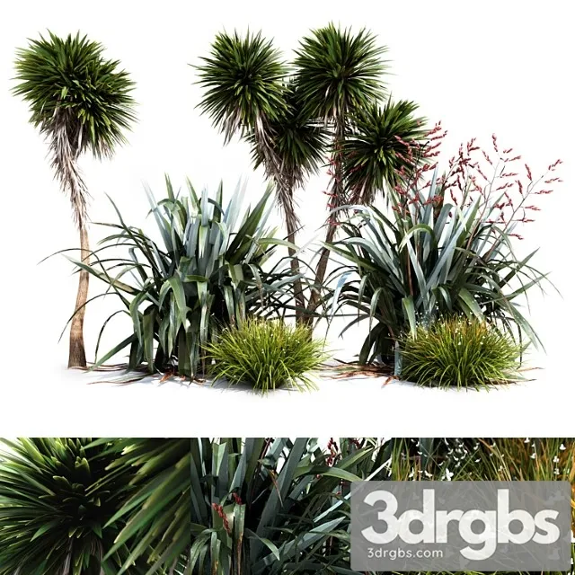 Oceania Plant Set 3D Model Download