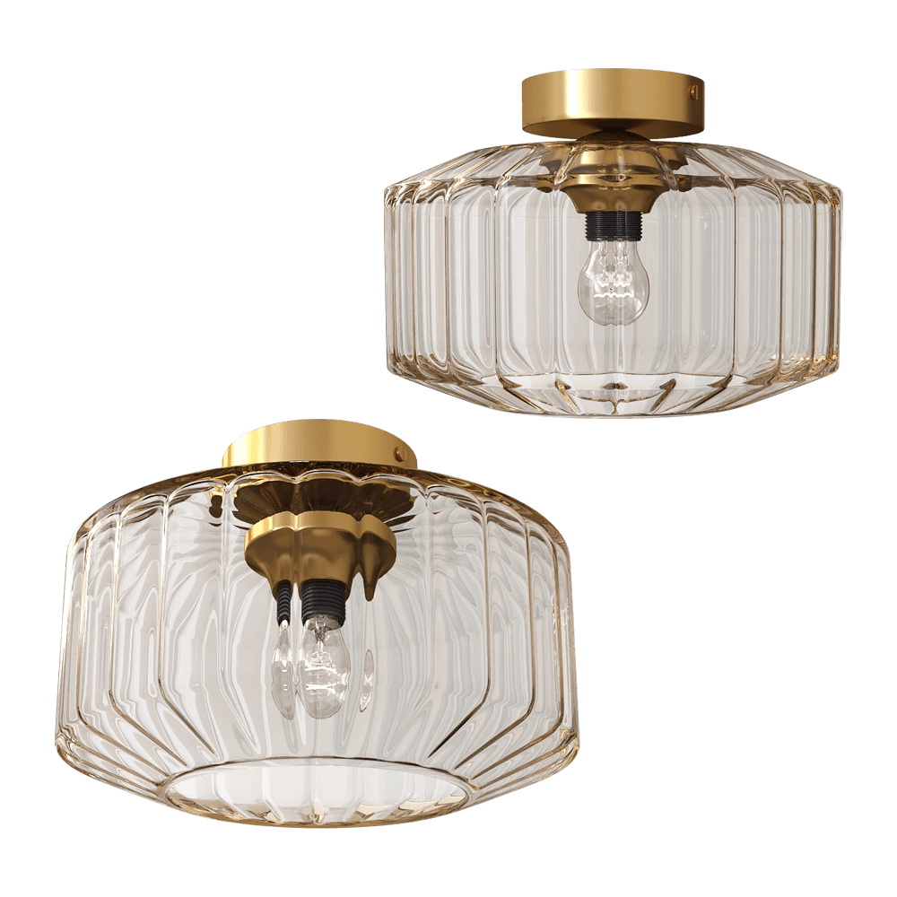 Odeon Light – Ceiling lamp Binga 4747/1C 3D Model
