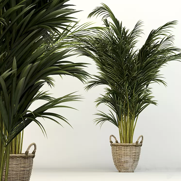 Office Chart 3D Model Office Chart 3D Model