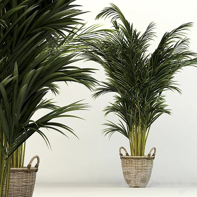 Office Chart 3DModel Office Chart 3DModel