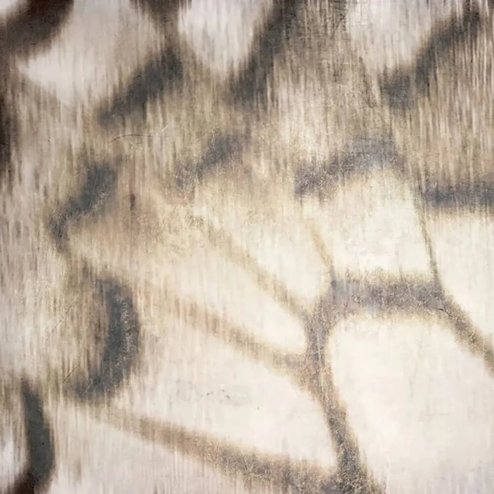 Officinarkitettura – Wallpaper Butterfly 2 3D Model