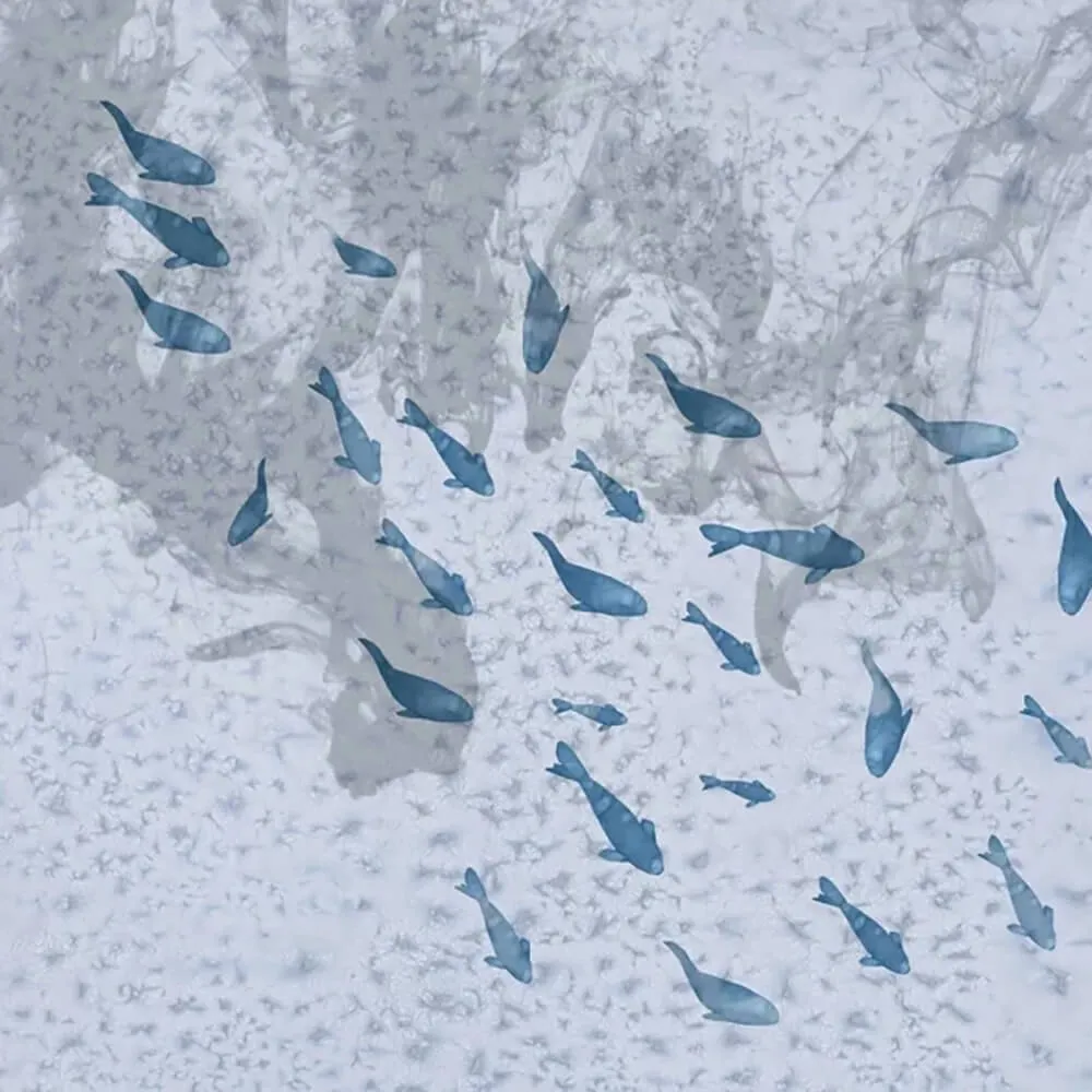 Officinarkitettura – Wallpaper Fish 3D Model