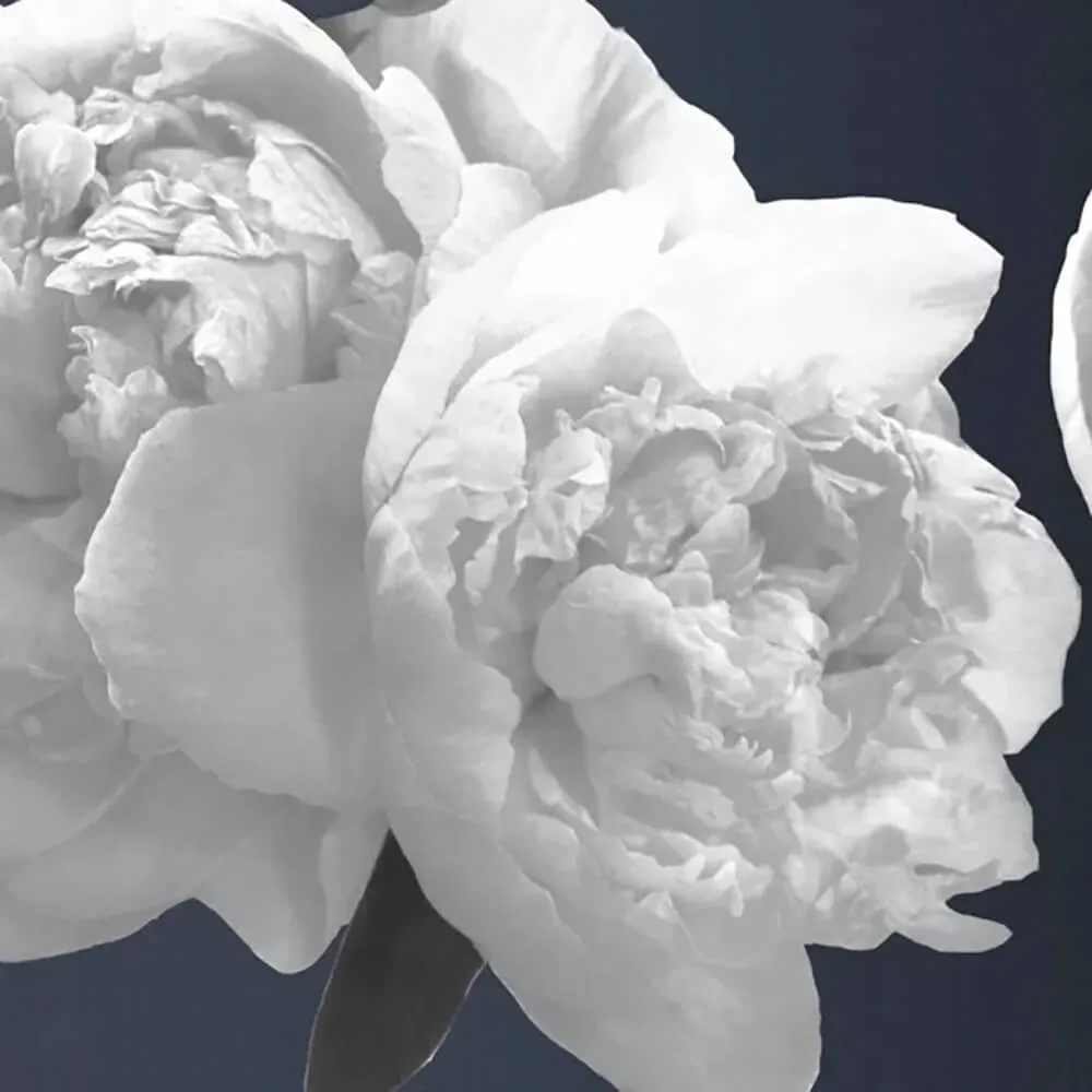 Officinarkitettura – Wallpaper Instant God 3D Model