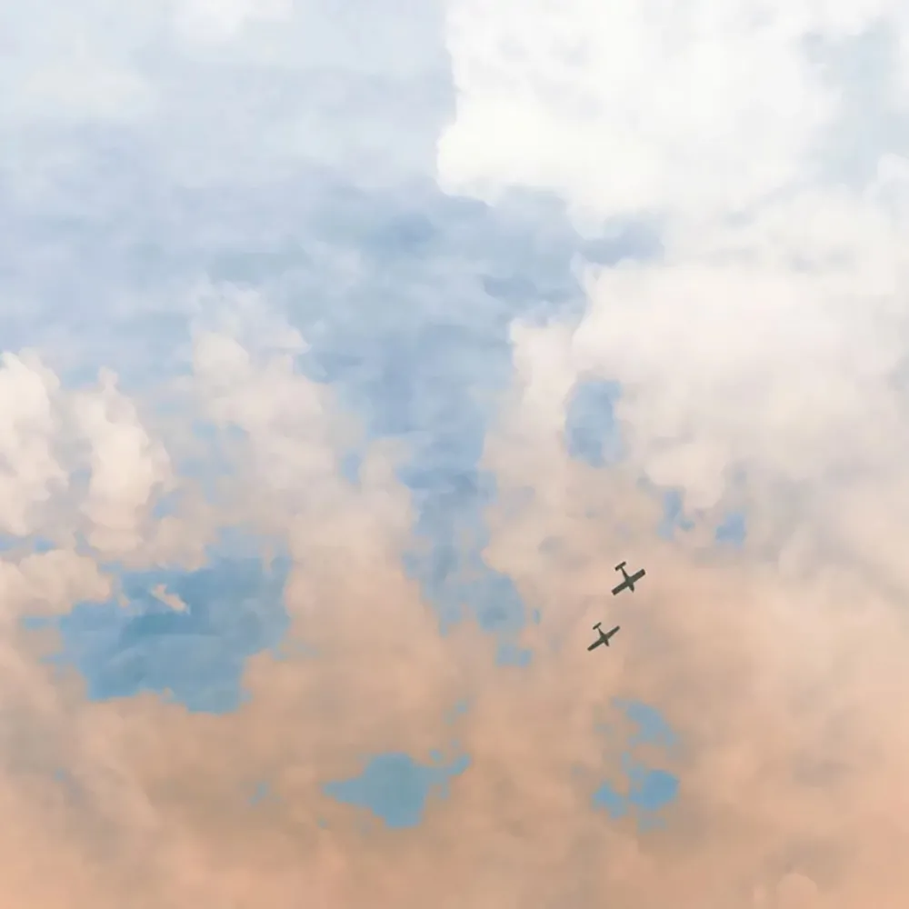 Officinarkitettura – Wallpaper Planes 3D Model