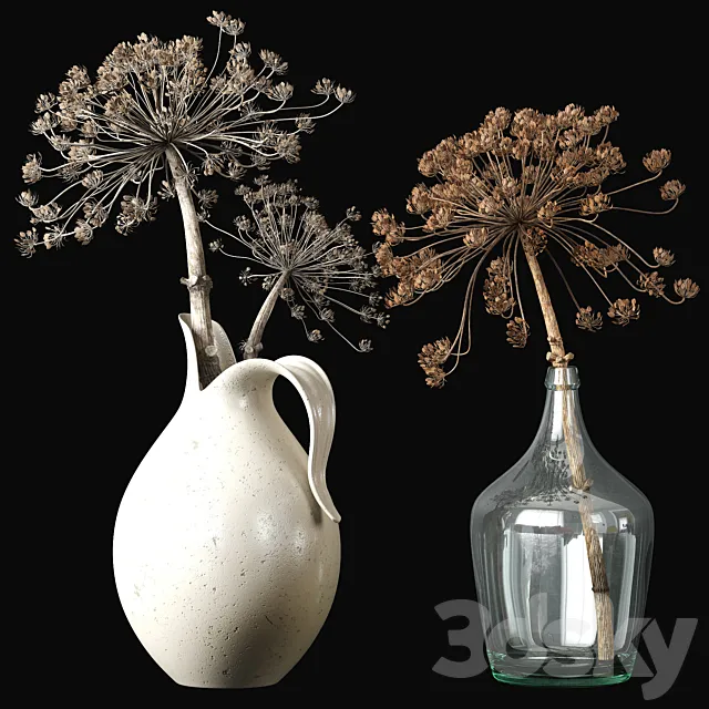 Old heracleum 2 3D Model Old heracleum 2 3D Model