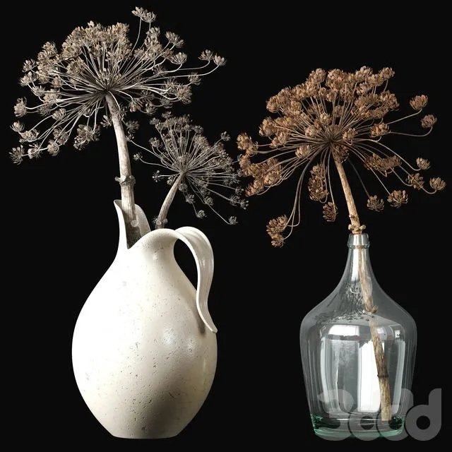 Old heracleum 2 dry bouquet 3D Model Old heracleum 2 dry bouquet 3D Model