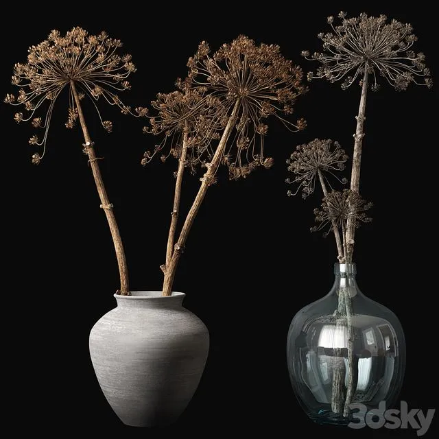 Old heracleum 3D Model Old heracleum 3D Model