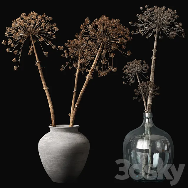 Old heracleum 3DModel Old heracleum 3DModel