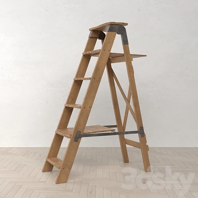 Old Ladder 3D Model
