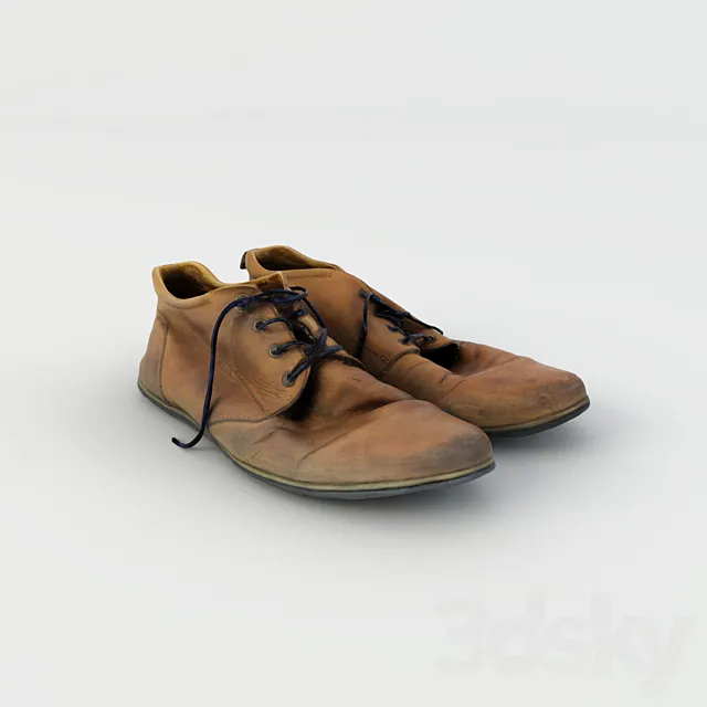 Old Shoes 3D Model