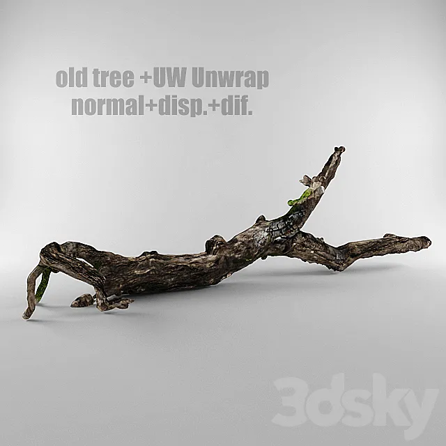 old tree 3DModel old tree 3DModel