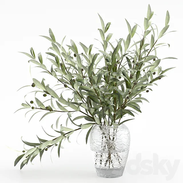 Olive branches in a vase 3D Model Olive branches in a vase 3D Model