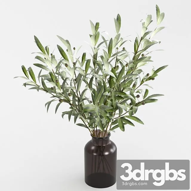 Olive branches in a vase_2 Olive branches in a vase_2