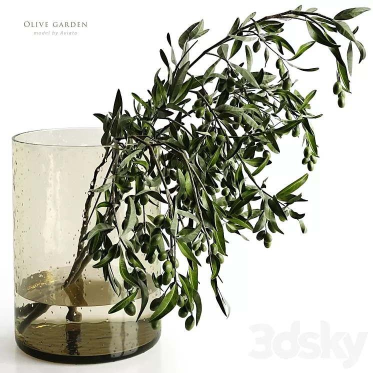 olive garden 3D Model Free Download