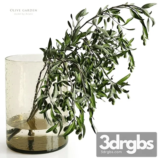 Olive garden Olive garden