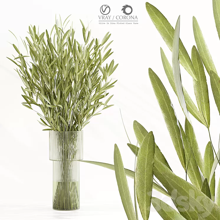 Olive In Dina Fluted Glass Vase 3D Model Free Download