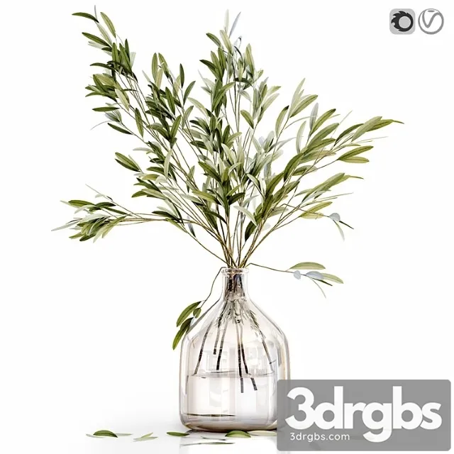 Olive stems 3 Olive stems 3