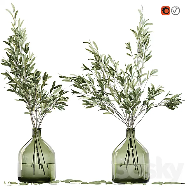Olive stems in glass vase with water 3DModel Olive stems in glass vase with water 3DModel