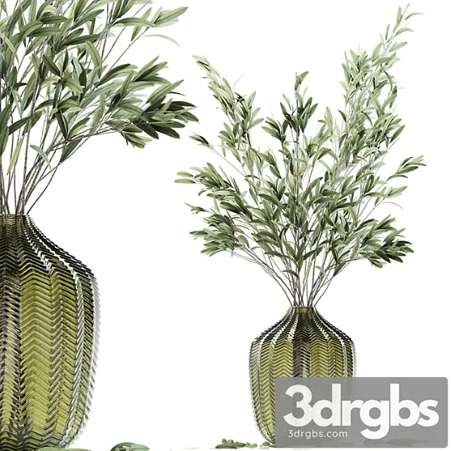 Olive stems in green glass vase Olive stems in green glass vase