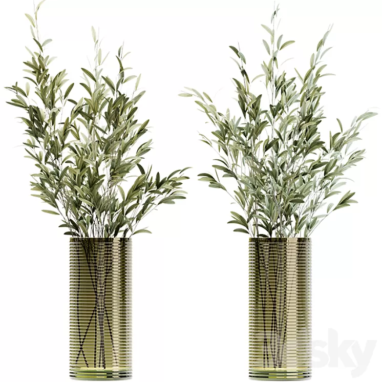 Olive stems in simple glass ribbed vase 3D Model