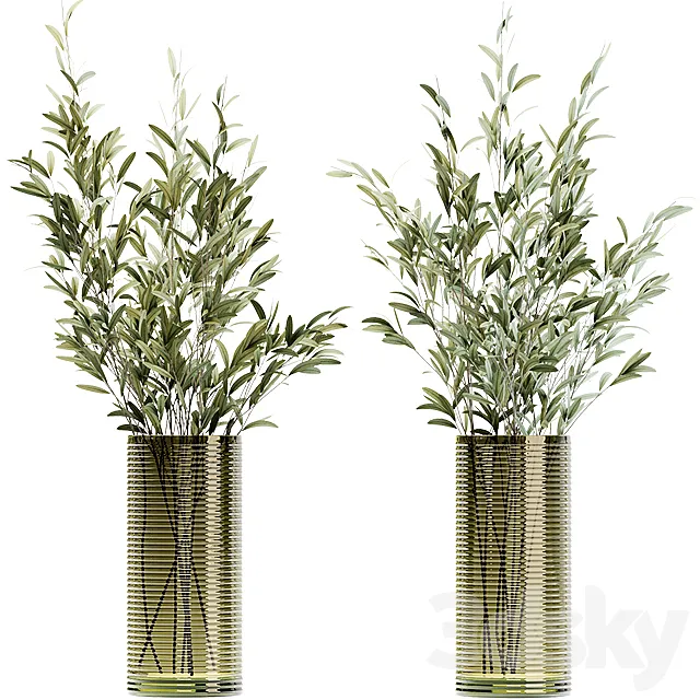 Olive stems in simple glass ribbed vase 3DModel Olive stems in simple glass ribbed vase 3DModel