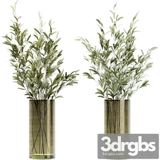Olive stems in simple glass ribbed vase Olive stems in simple glass ribbed vase