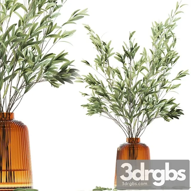 Olive Stems in Yellow Glass Vase with Water 3D Model Download Olive Stems in Yellow Glass Vase with Water 3D Model Download