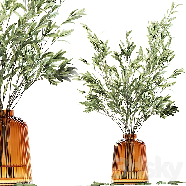 Olive stems in yellow glass vase with water 3DModel Olive stems in yellow glass vase with water 3DModel