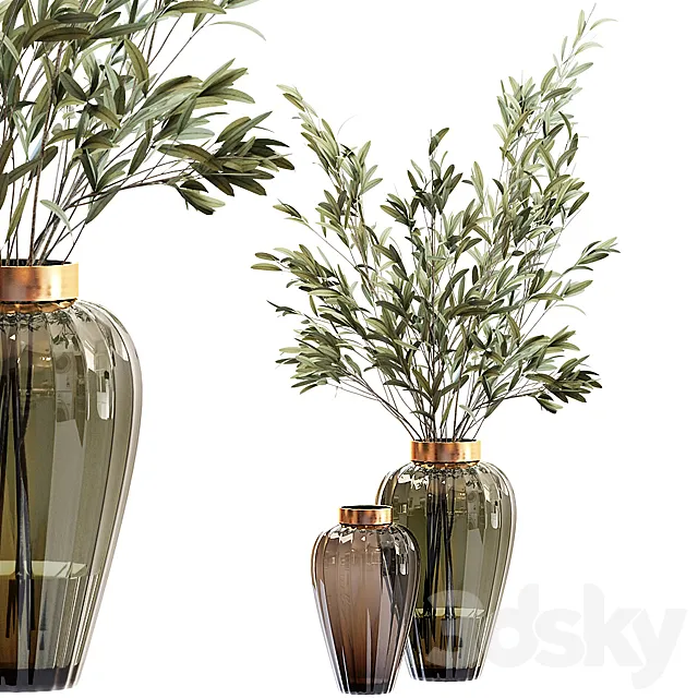 Olive stems in zara glass vase with water 3DModel