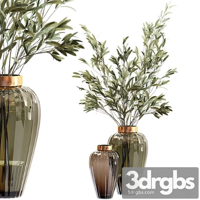 Olive stems in zara glass vase with water Olive stems in zara glass vase with water