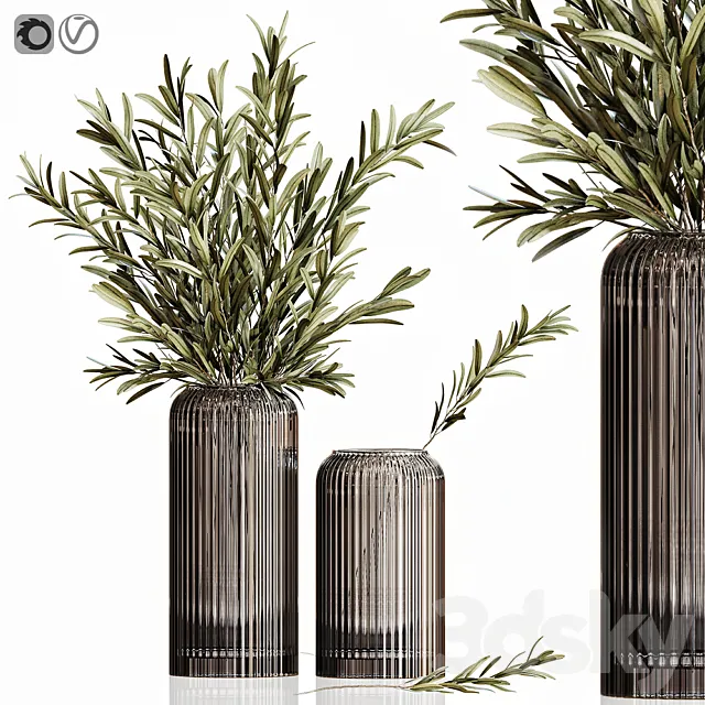 Olives in vases 3 3DModel Olives in vases 3 3DModel