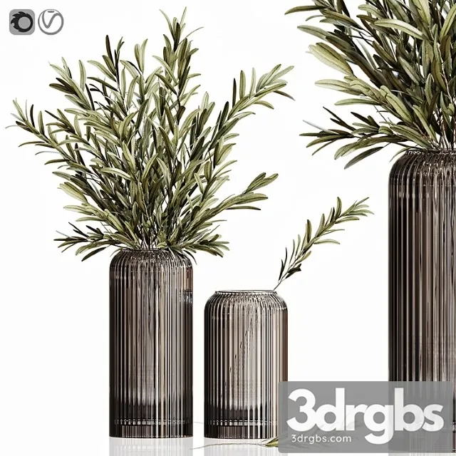 Olives in vases 3 Olives in vases 3