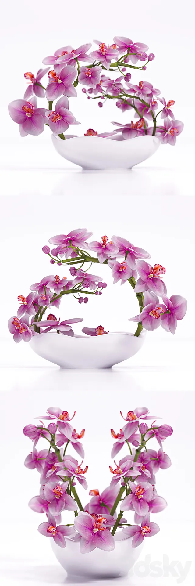 ORCHID 3 3D Model ORCHID 3 3D Model