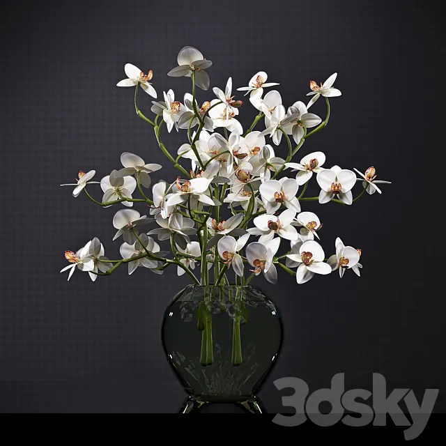 ORCHID 3D Model ORCHID 3D Model