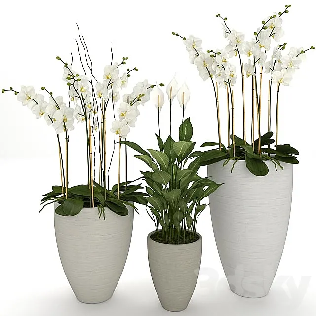 ORCHID 3DModel ORCHID 3DModel