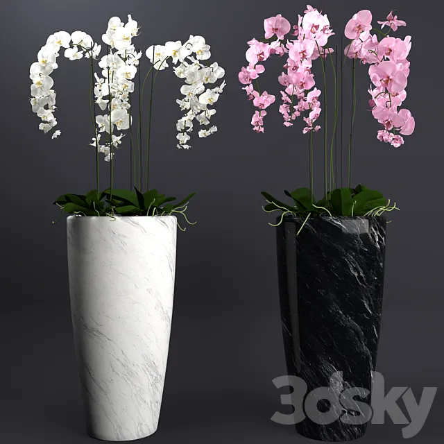 Orchid 4 3DModel Orchid 4 3DModel