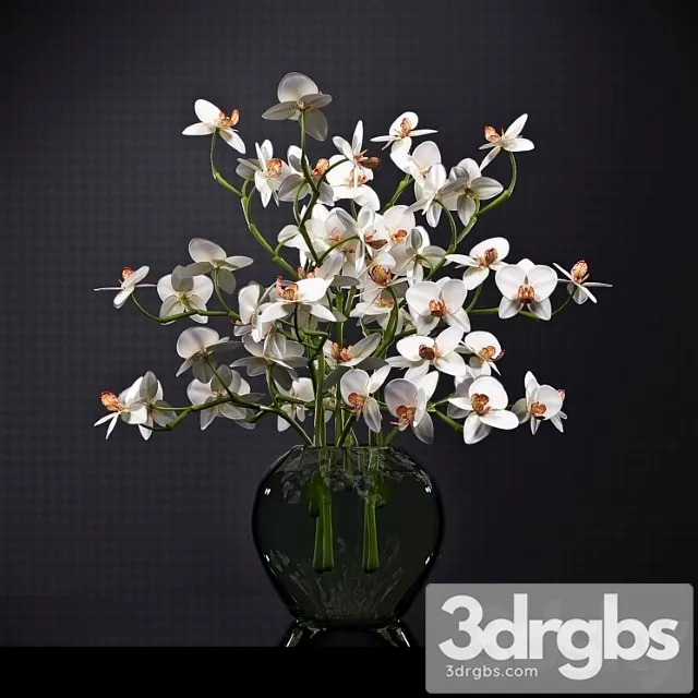 Orchid 6 3D Model Download Orchid 6 3D Model Download